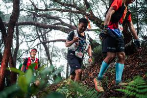 BIB: 
                            <button type="button" onclick="openModal(26295866)" class="btn btn-primary btn-sm float-right btn-popup" data-toggle="modal" data-target=".modal-high-quality">
                        <i class="fas fa-shopping-cart"></i> Add to Cart
                    </button>
                                            <button type="button" onclick="isThisMe(26295866, true)" class="btn btn-success btn-sm float-right btn-popup btn-isme hidden" data-toggle="tooltip" data-placement="bottom" title="นี่คือรูปของคุณใช่ไหม คลิกที่นี่เพื่อเอาเข้าอัลบั้ม">
                        <i class="fas fa-plus"></i> Add to album
                    </button>
                    <button type="button" onclick="isThisMe(26295866, false)" class="btn btn-warning btn-sm float-right btn-popup btn-isnotme hidden">
                        <i class="fas fa-ban"></i> Remove from album
                    </button>